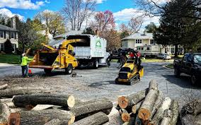 How Our Tree Care Process Works  in  Marble Hill, MO